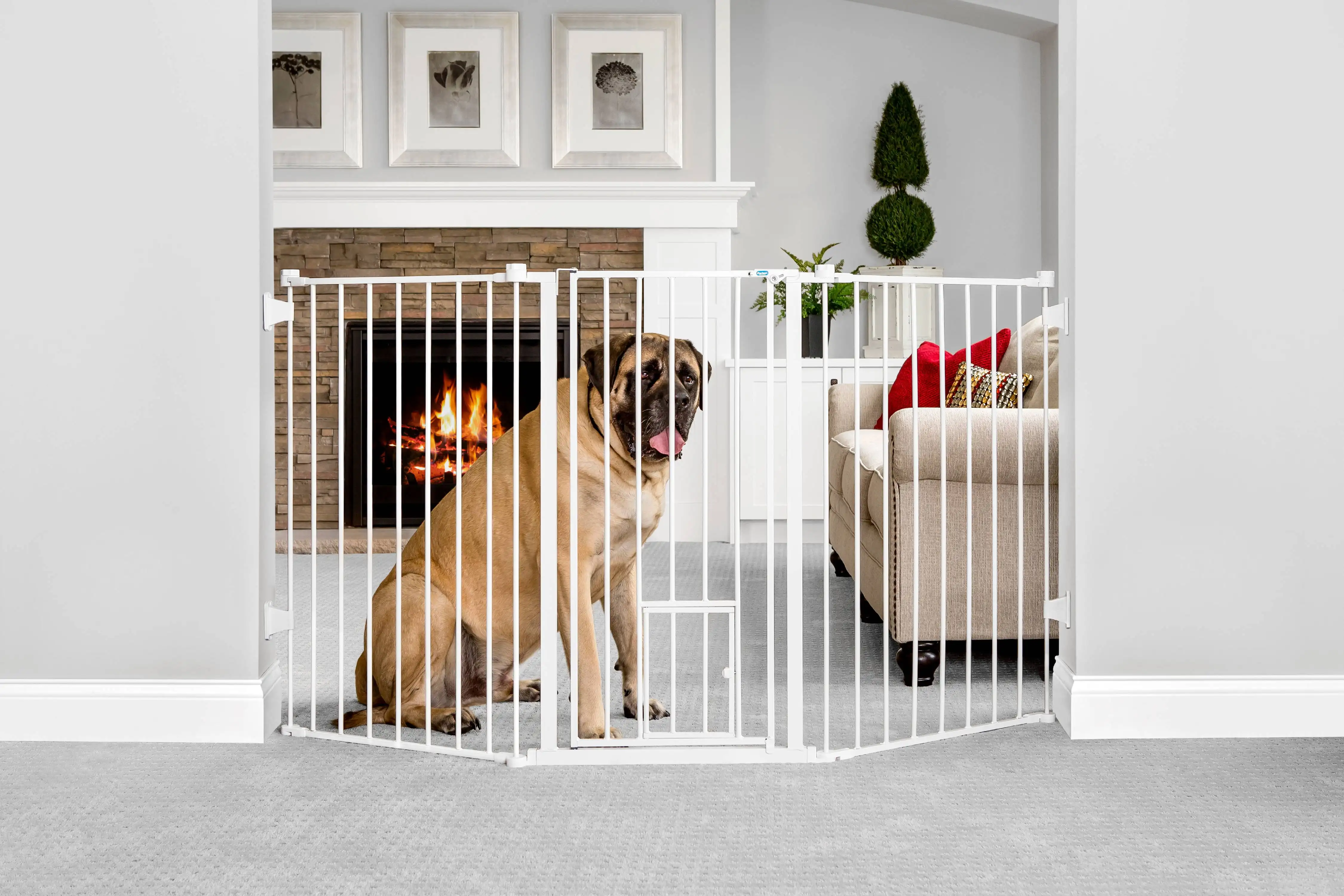 

Walk-Thru Metal Dog Gate, White, 76"L x 2"W x 38"H