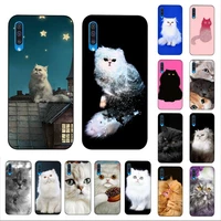 yndfcnb persian cat phone case for samsung a51 01 50 71 21s 70 10 31 40 30 20e 11 a7 2018