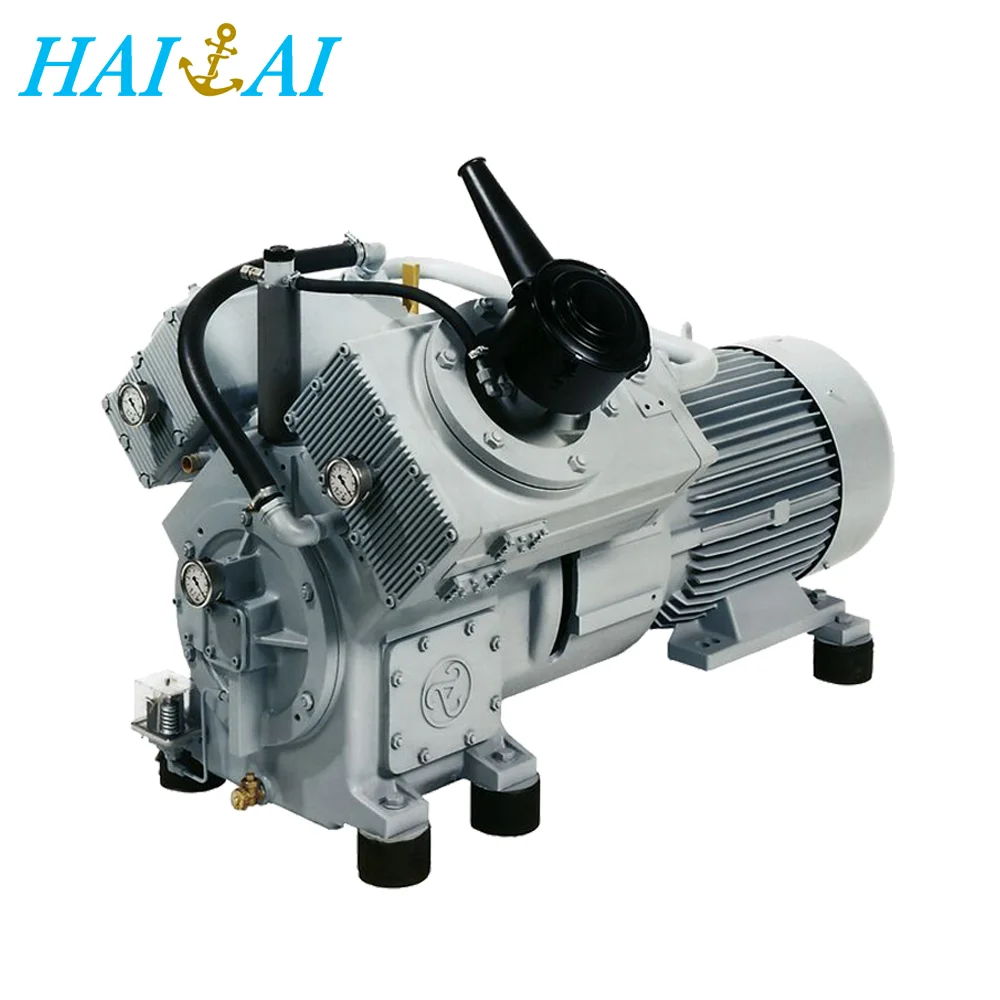 

portable marine air compressor