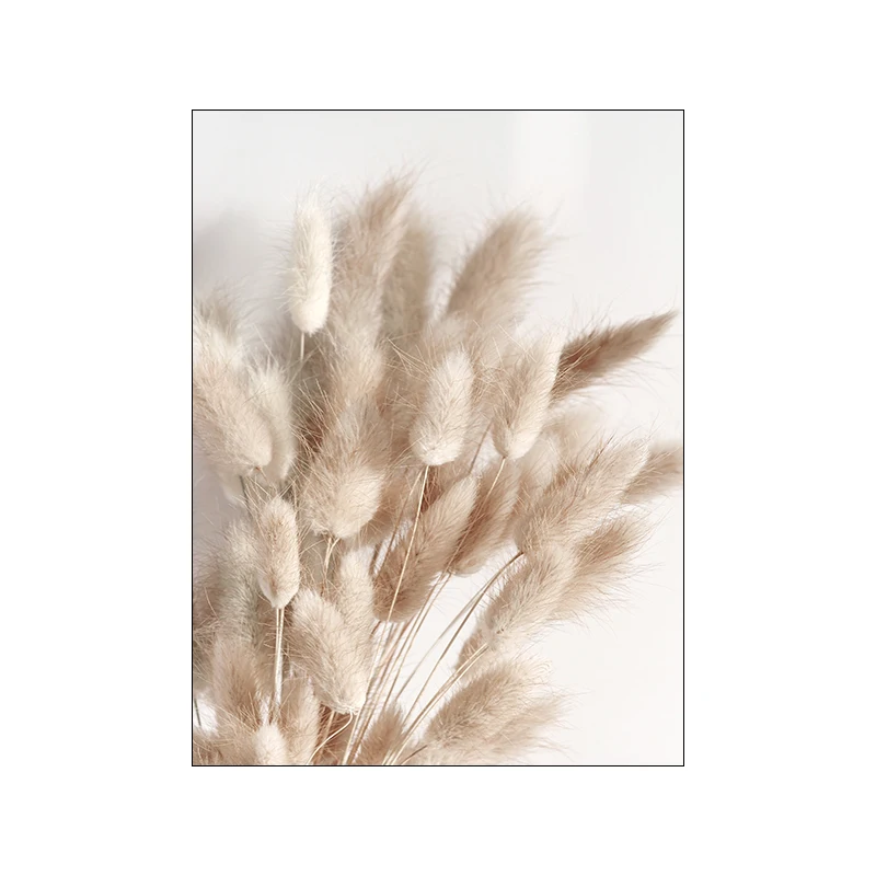 

Картина на холсте JIANGGERONGZHAO Бежевый цветок