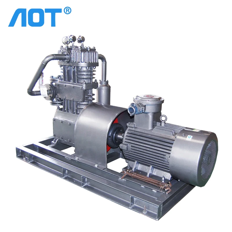 High quality and inexpensive piston gas Booster Pump Ammonia Gas Compressor with CE For hot sale