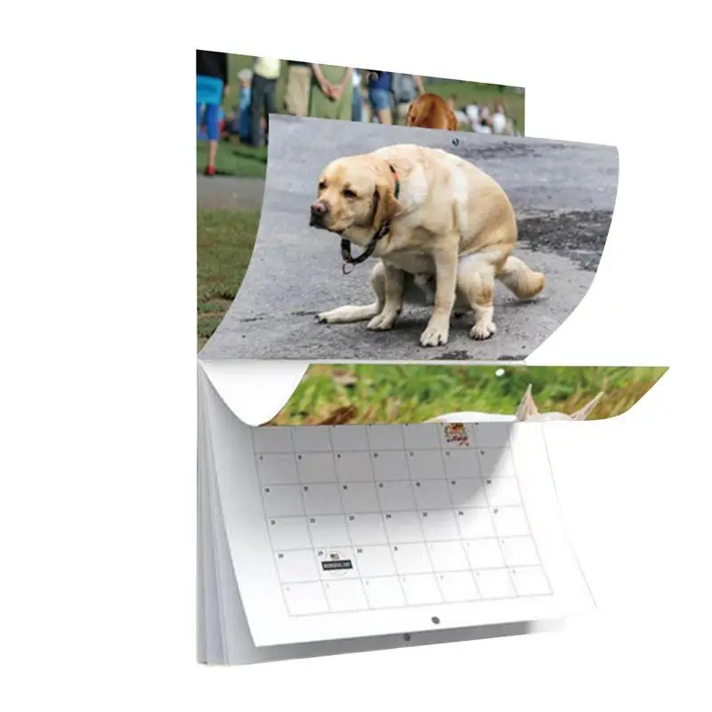 

Hangable Funny Dog Pooping Wall Calendar 2024 Unique Calendar Gift For Friends Family Neighbors Coworkers Relatives Loved Ones