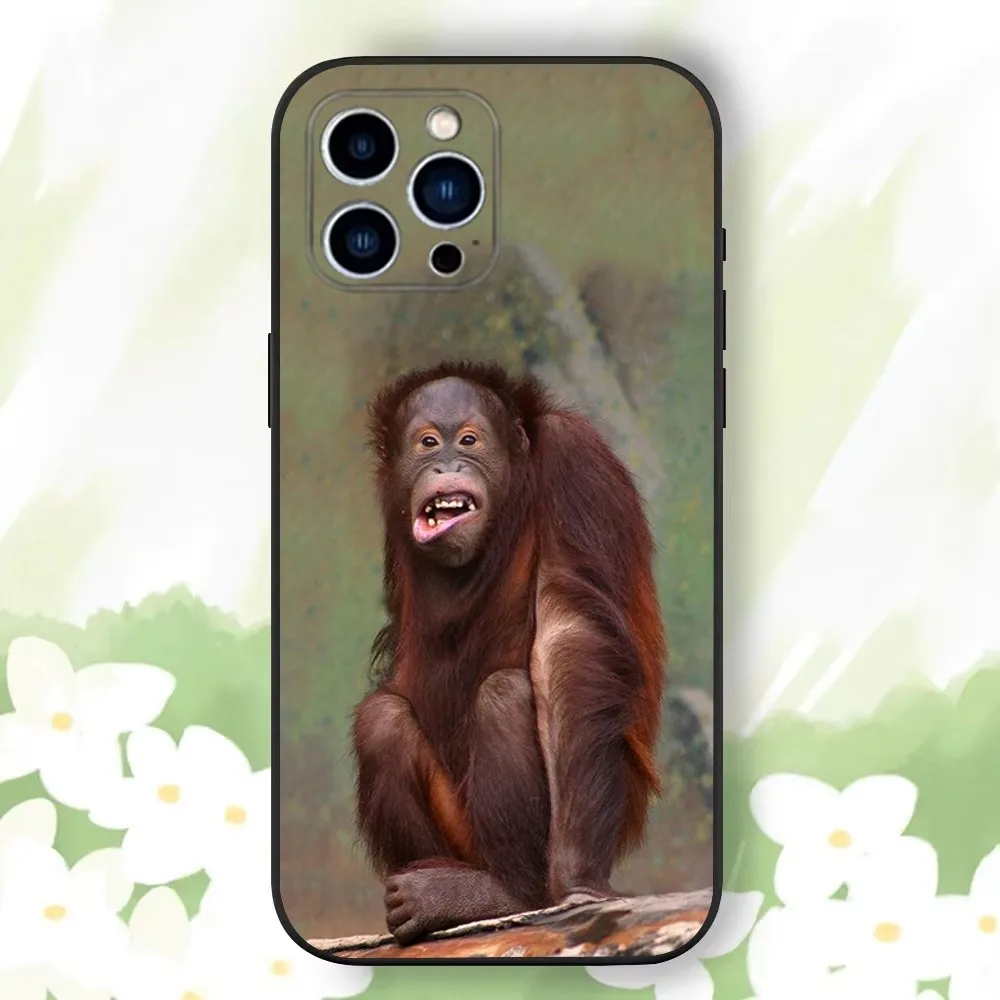 Чехол для телефона Monkey Sipping baboon iPhone 16 15 14 13 12 11 Plus Pro Max XS XR SE Mini 8 7 мягкий силиконовый
