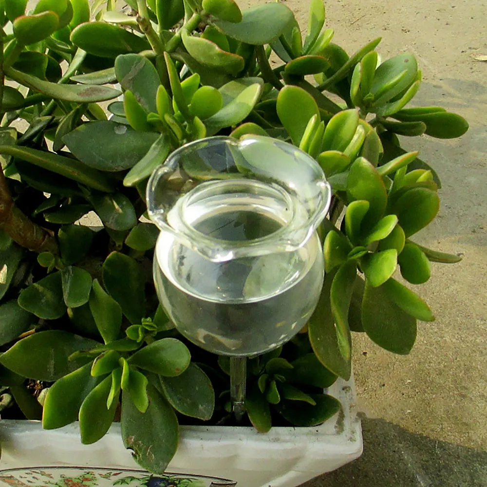 

Plant Watering Bulbs Automatic Self-Watering Globes Tools, Plastic Balls Vacation Houseplant Garden Waterer Flower Water Device