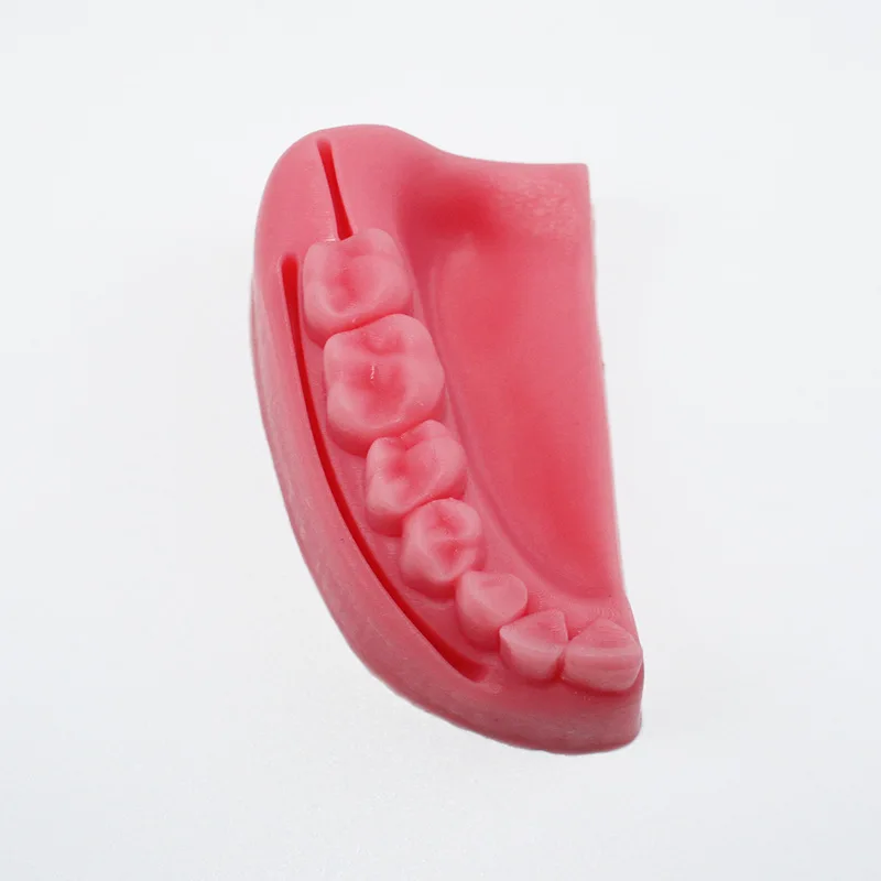 Стоматологическая медицинская студенческая тренировка швов периферийные