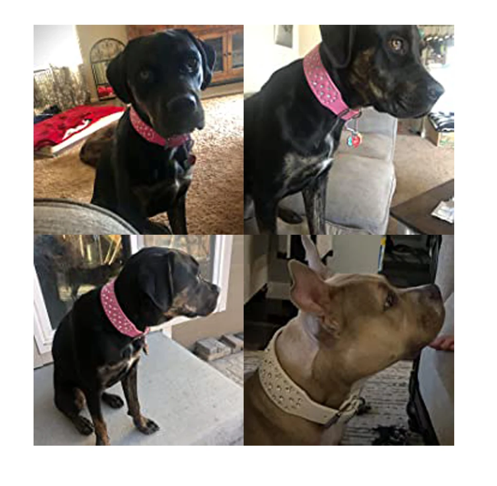 Модные ошейники стразы для домашних питомцев ошейник из искусственной кожи со