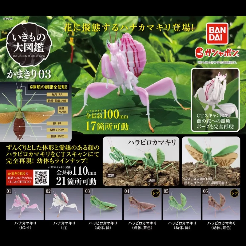 

BANDAI Japan Gashapon Figure Anime Cute Biology Map Orchid Mantis Insect Model Kawaii Capsule Toys Figurine for Boys Girls Gift
