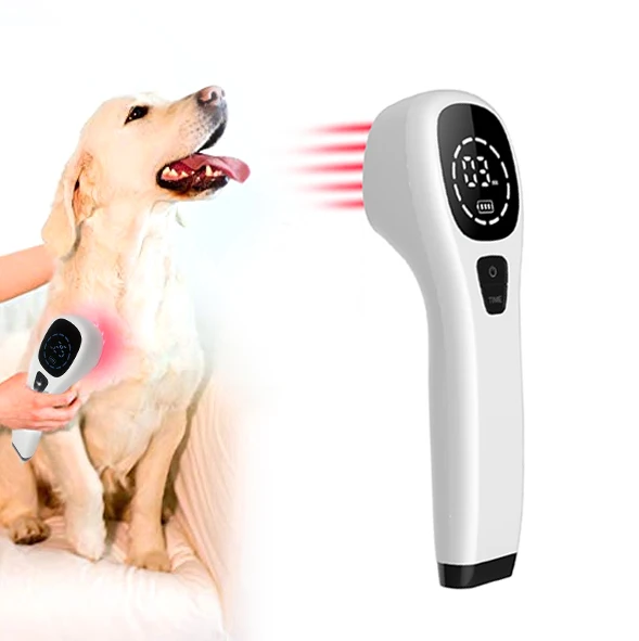 

Arthritis Shoulder Pain Relief 650nm 808nm Cold Laser Therapy Handheld Physical Therapy Equipment