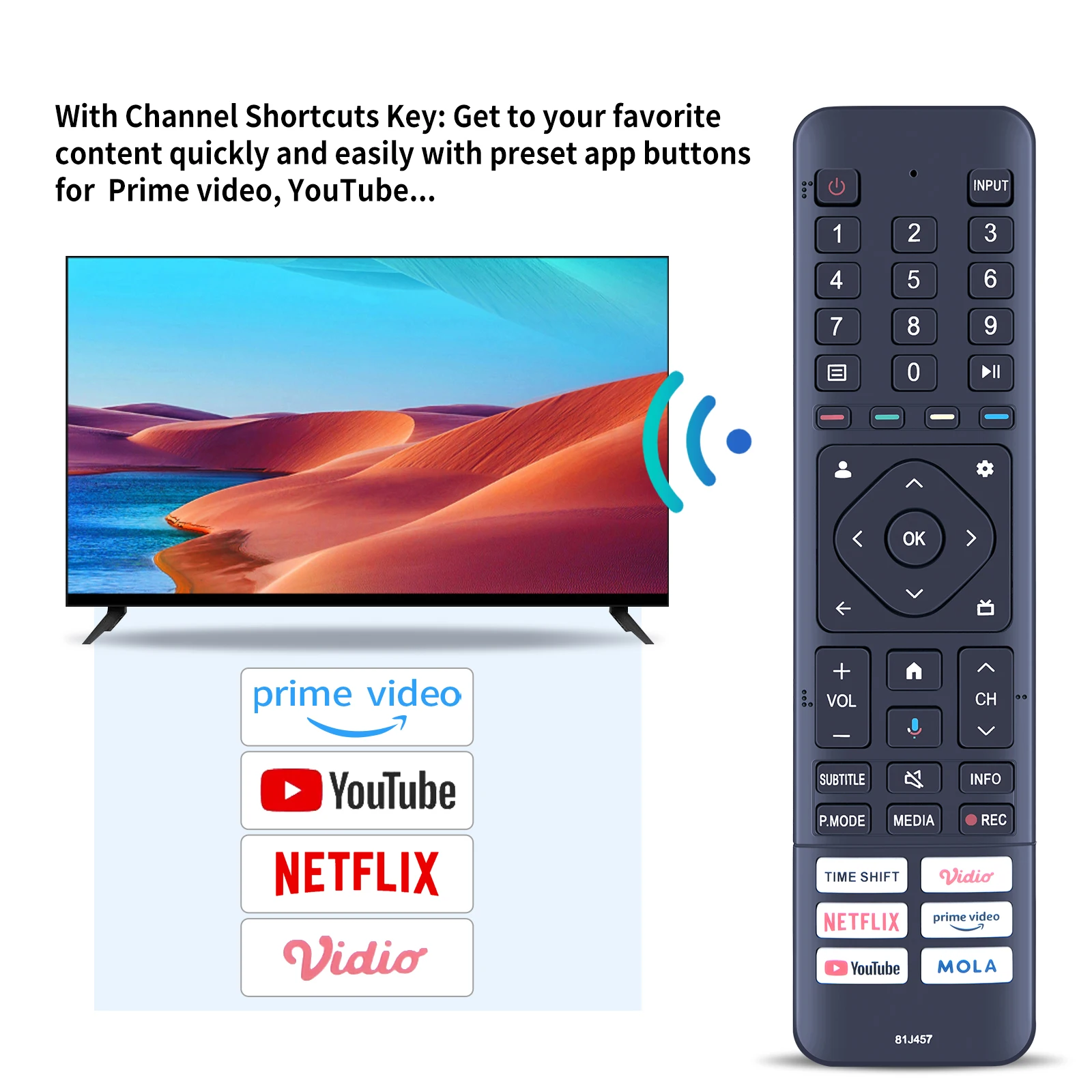 Пульт дистанционного управления для POLYTRON 81J457