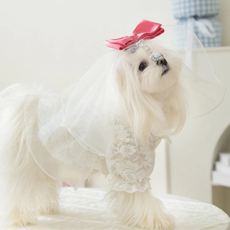 Вуаль, белая одежда для собак, свадебный кружевной платок, женское дизайнерское платье для чихуахуа, летняя одежда для щенка среднего и маленького размера