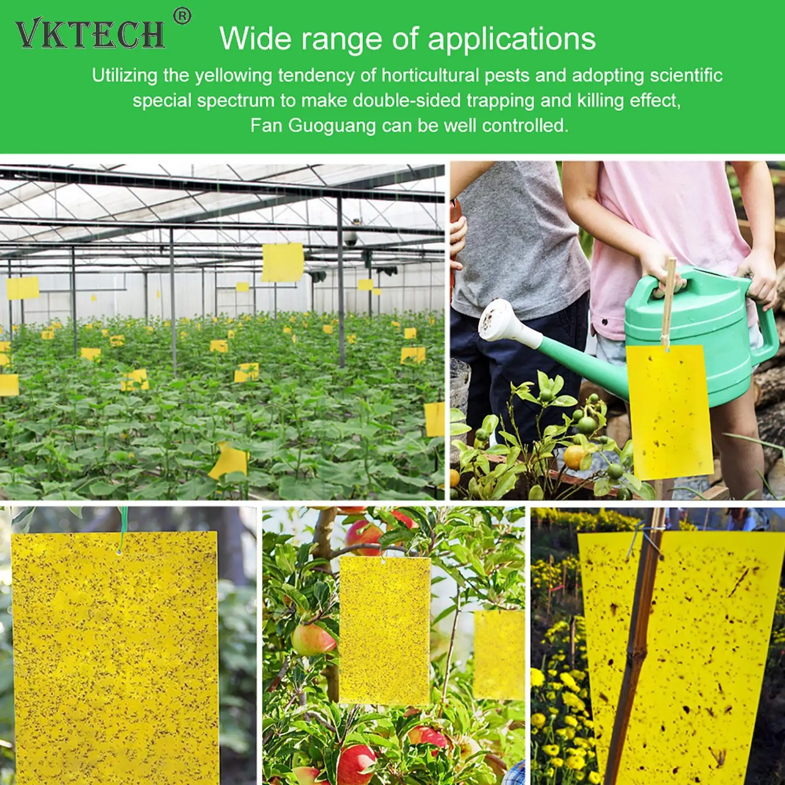 Клейкая доска для борьбы с насекомыми 20-100 шт.