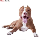 Наклейка на окно автомобиля с изображением собаки, 13x15,2 см