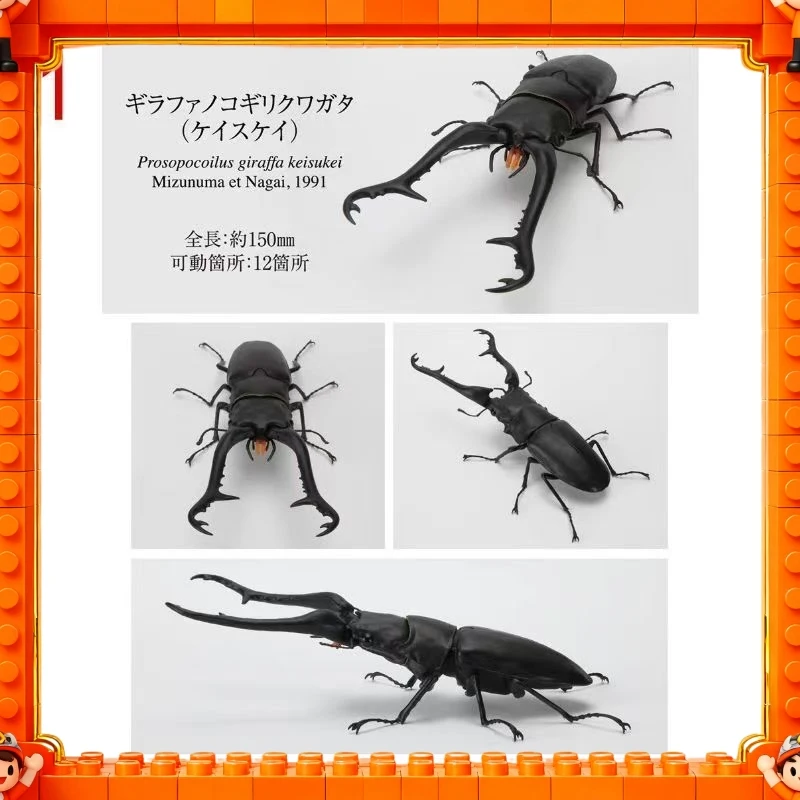 Фото 2026 Оригинальная модель Bandai GP Ikimono Taikan Stag Beetle 11 (Prosopocoilus Giraffa) в наличии, игрушка-подарок №2