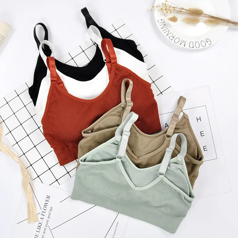 

Sports Yoga Bra Women Seamless Padded Sports Bra Fitness Running Gym Bra Sports Underwear Push Up Sport Bra for Cup A B