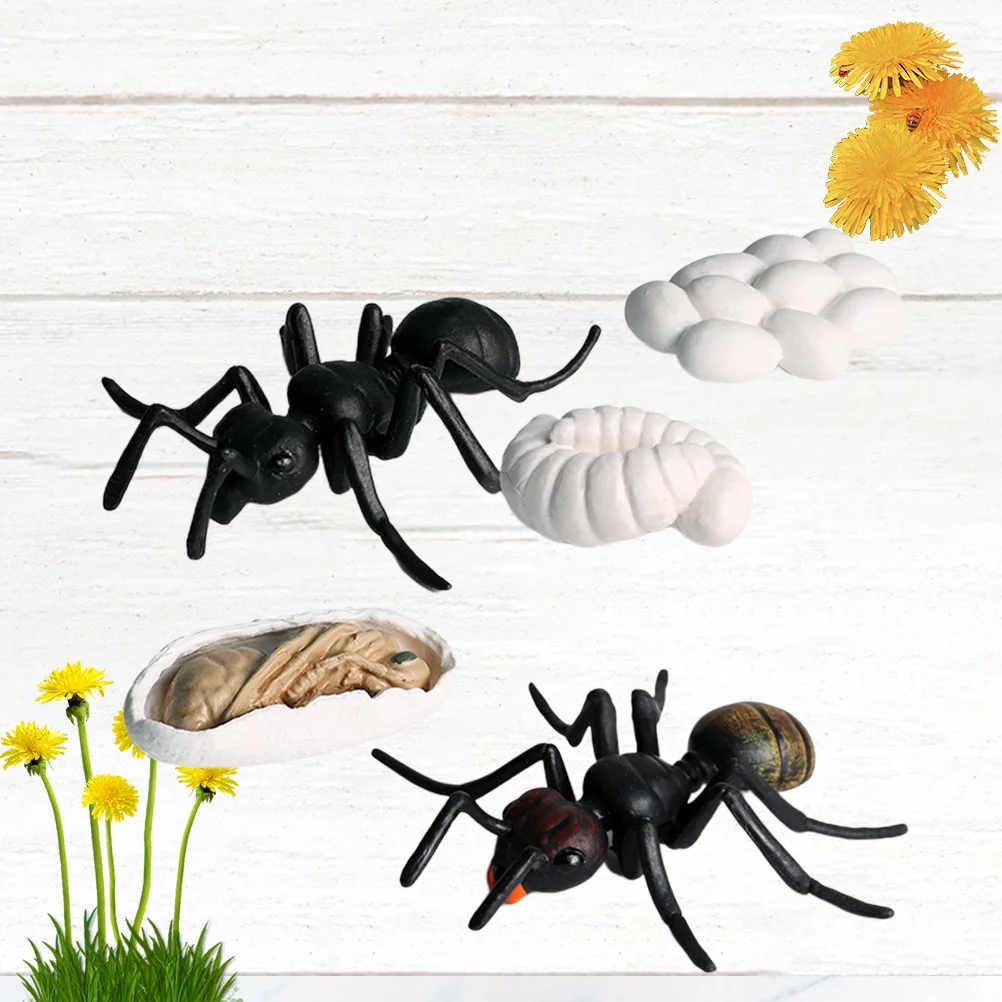 

Модель велосипеда роста 5 ant, реалистичная модель в виде насекомых, модель для офиса, дома, детей