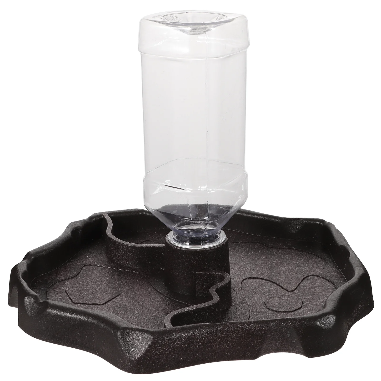 

Reptile Water Feeder Feeding Dispenser Nontoxic Bowl Foods Container Drinking Bowl for Turtle Lizard ( Coffee )