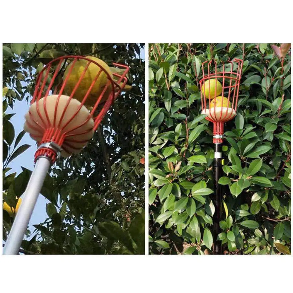 

Outdoor Fruit Picker Apple Peach Pear Practical Garden Easy Picking Tool