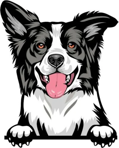 

Для (синего цвета) BORDER COLLIE Peeking DOG Breed цвет Наклейка на стену на окно w/proof