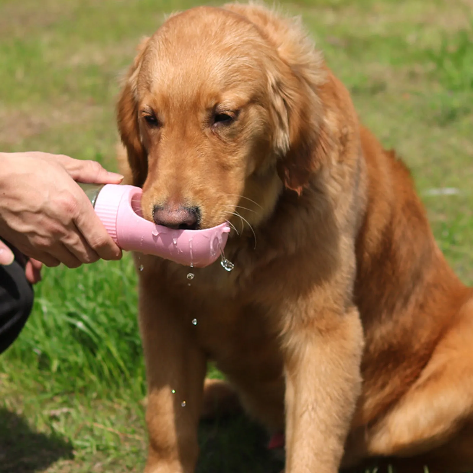 Переносная бутылка для воды домашних животных складной дозатор прогулок с