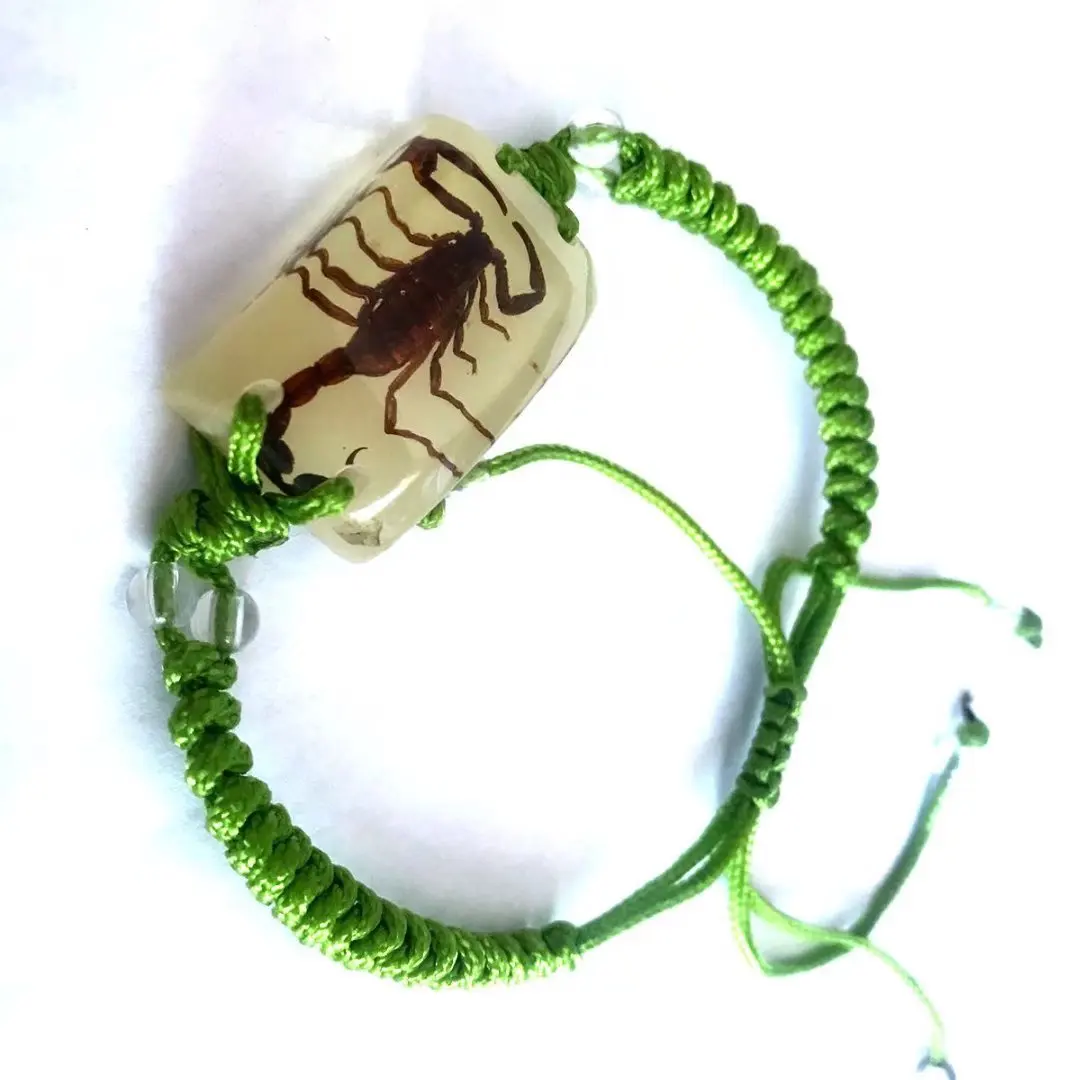 

15 pcs Bracelets Artificial Amber bracelet Jewelry Scorpion Insect Specimen mixed rope color ym