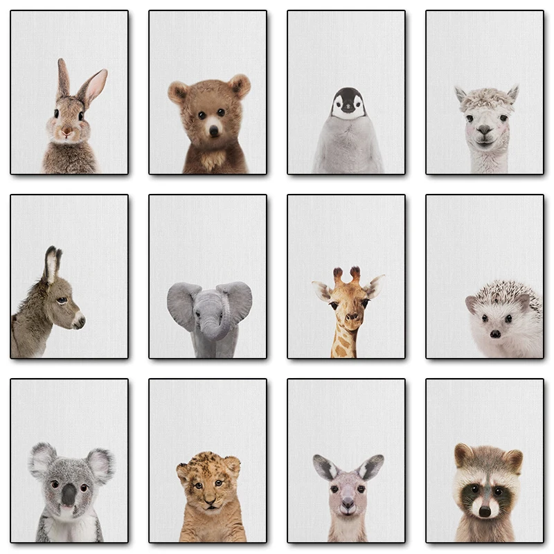 Плакаты с милыми животными Зебра ягненок каола жираф кролик пингвин печать на