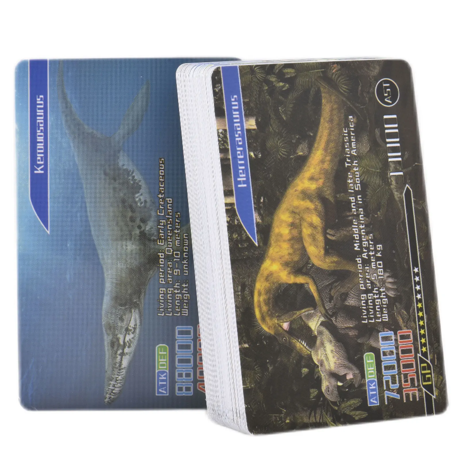 

Dinosaur Memory Cards Dinosaurs Learning Cards Dinosaur Fan Collectible Cards Flash Card Educational Learning Toys For Kids