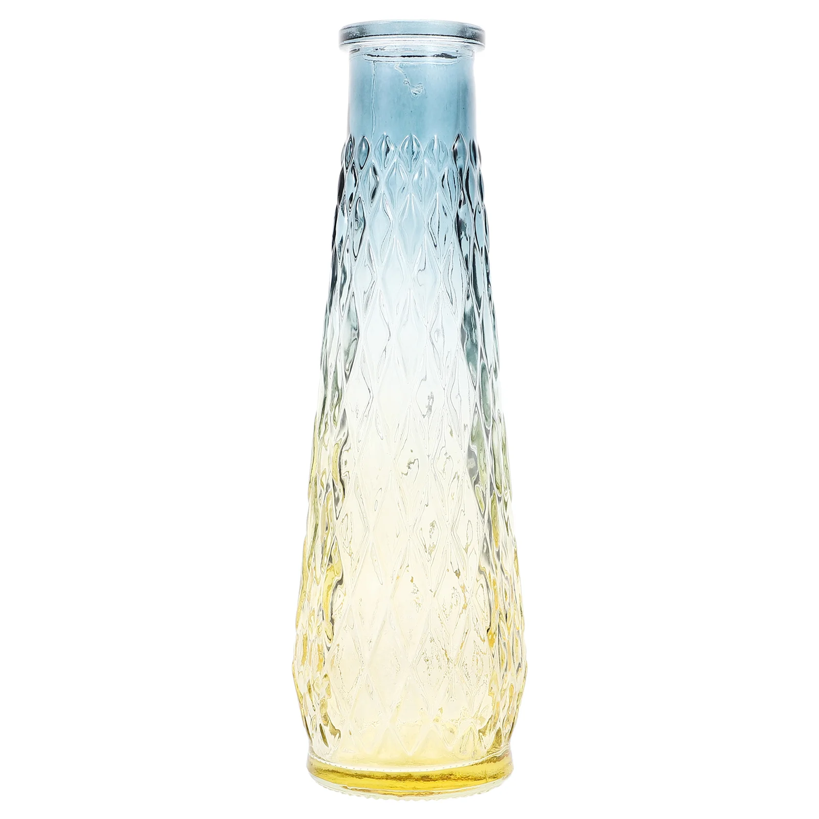 

Floral Holder Flower Vases Decorative Home Small Modern Glass Planter Transparent