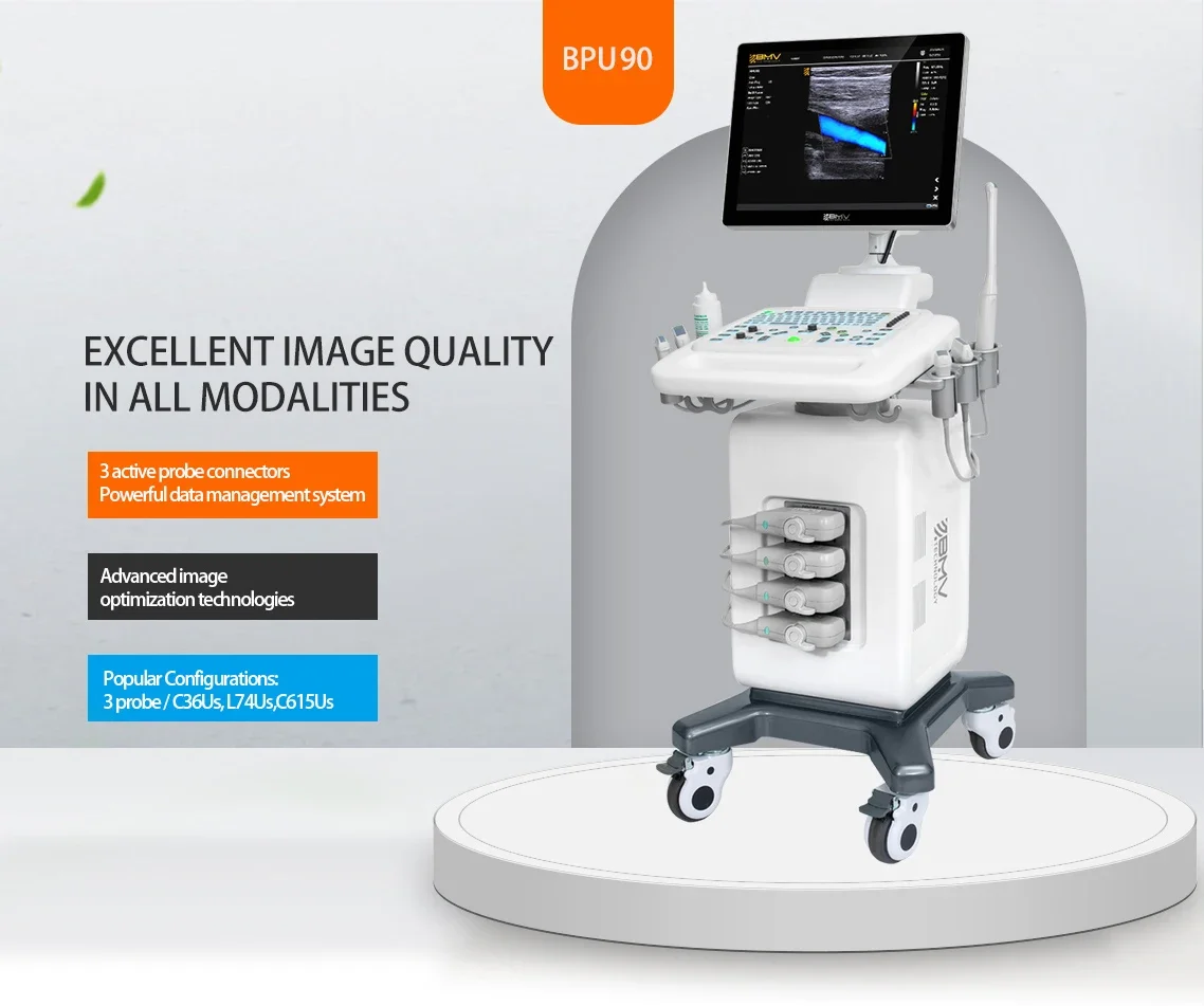 Рисунок 5 - Ветеринарное ультразвуковое устройство