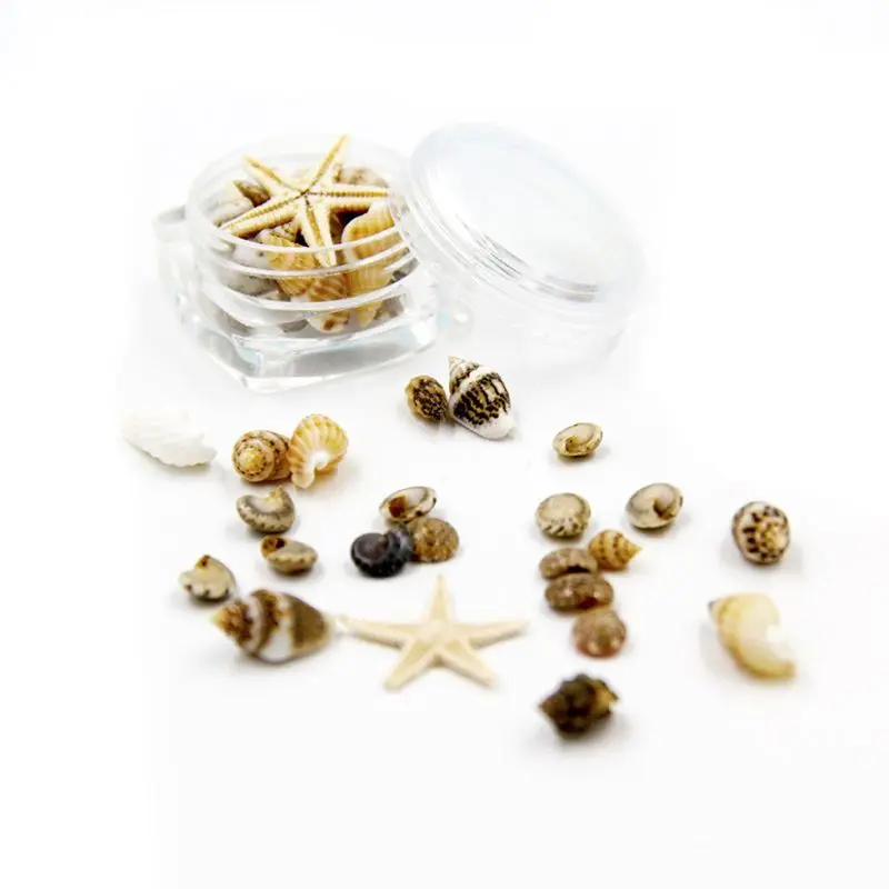 

Маленькая натуральная пляжная морская ракушка Морская звезда Морской декор для ногтей Изготовление ювелирных изделий K3KF