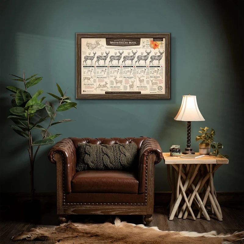 Бумажные отпечатки The Grow And Maturity Of White-Tailed Buck 46X30 5 см