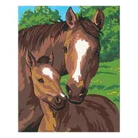 tapb horse diy painting by numbers adults handpainted on canvas pictures by numbers home wall art decor
