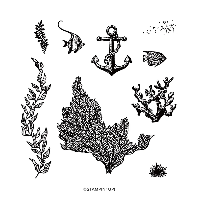 

Beauty of the Deep Seaweed 2023-2024 Annual Catalog Cutting Dies Clear Stamp Scrapbooking Frame Card Craft