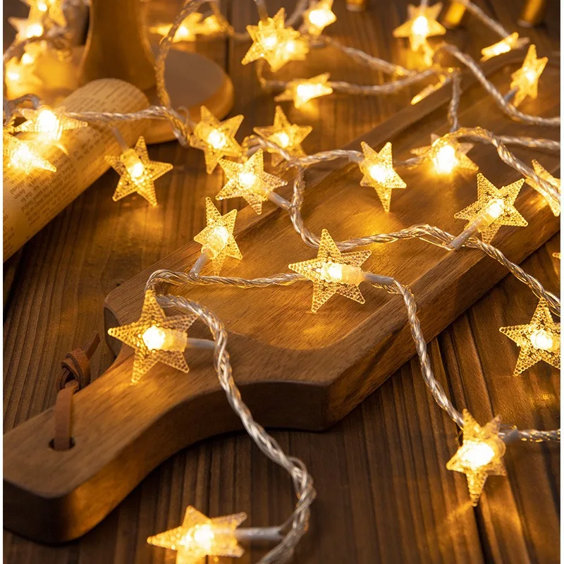 Christmas Lights Wedding Party