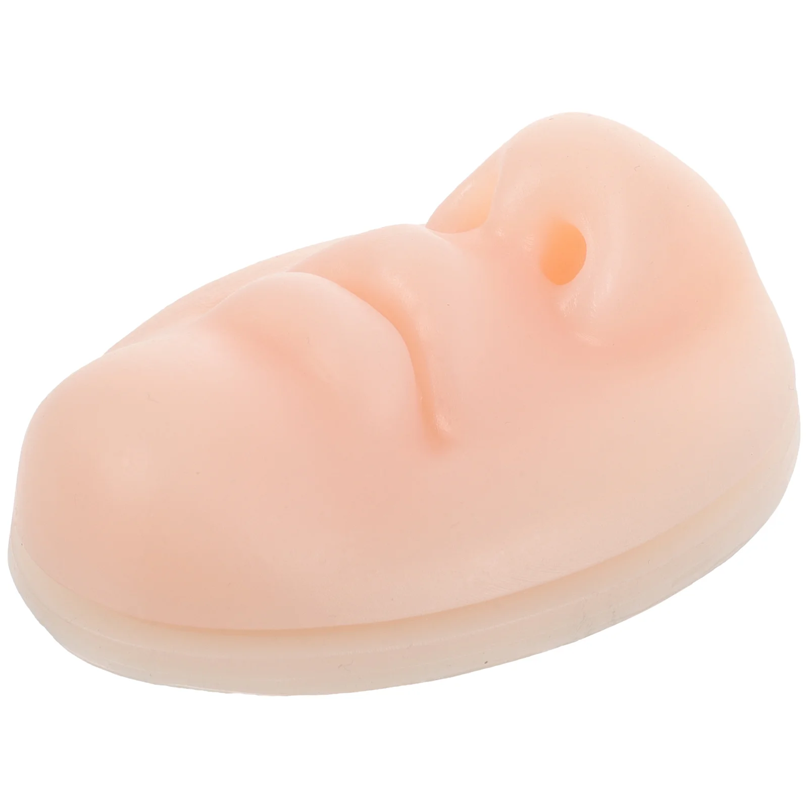 

Fake Mouth Practice Model Practice Model Mouth Mouth Nose