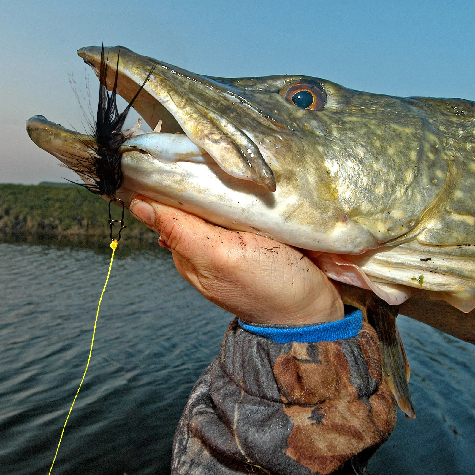 Нахлыстовые рыболовные мушки с 15 звеньями резиновые дужки влажные мухи