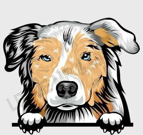 

For AUSSIE SHEPHERD Peeking Dog Breed Color Window wall Laptop Sticker w/proof