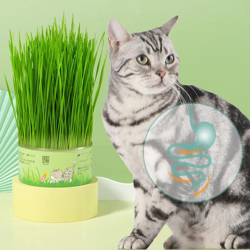 Canned Soilless Cat Grass Kit Canned Cat Grass Soilless Hydroponic Wheat / Rye Cat Treats Prevent Hairballs and Aid Digestion