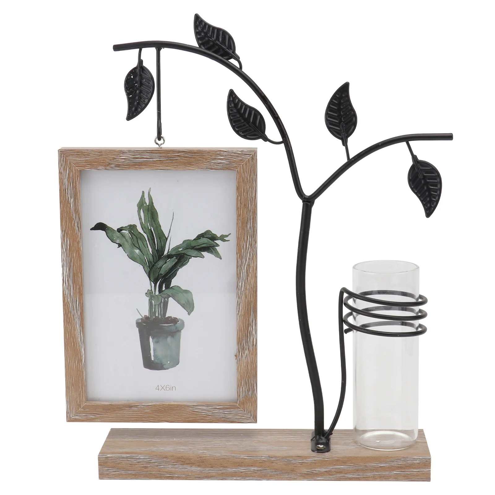 

Flowerpot 6 Inch Wrought Iron Photo Frame Show Rack Glass Vases Wooden Household Adornment