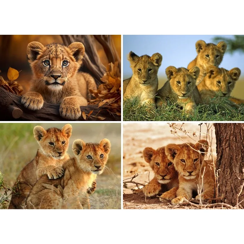 

5D DIY Алмазная картина льва Cubs, Алмазное искусство Baby Lions по номерам, наборы для взрослых и детей, окрашенные полностью круглыми драгоценными камнями