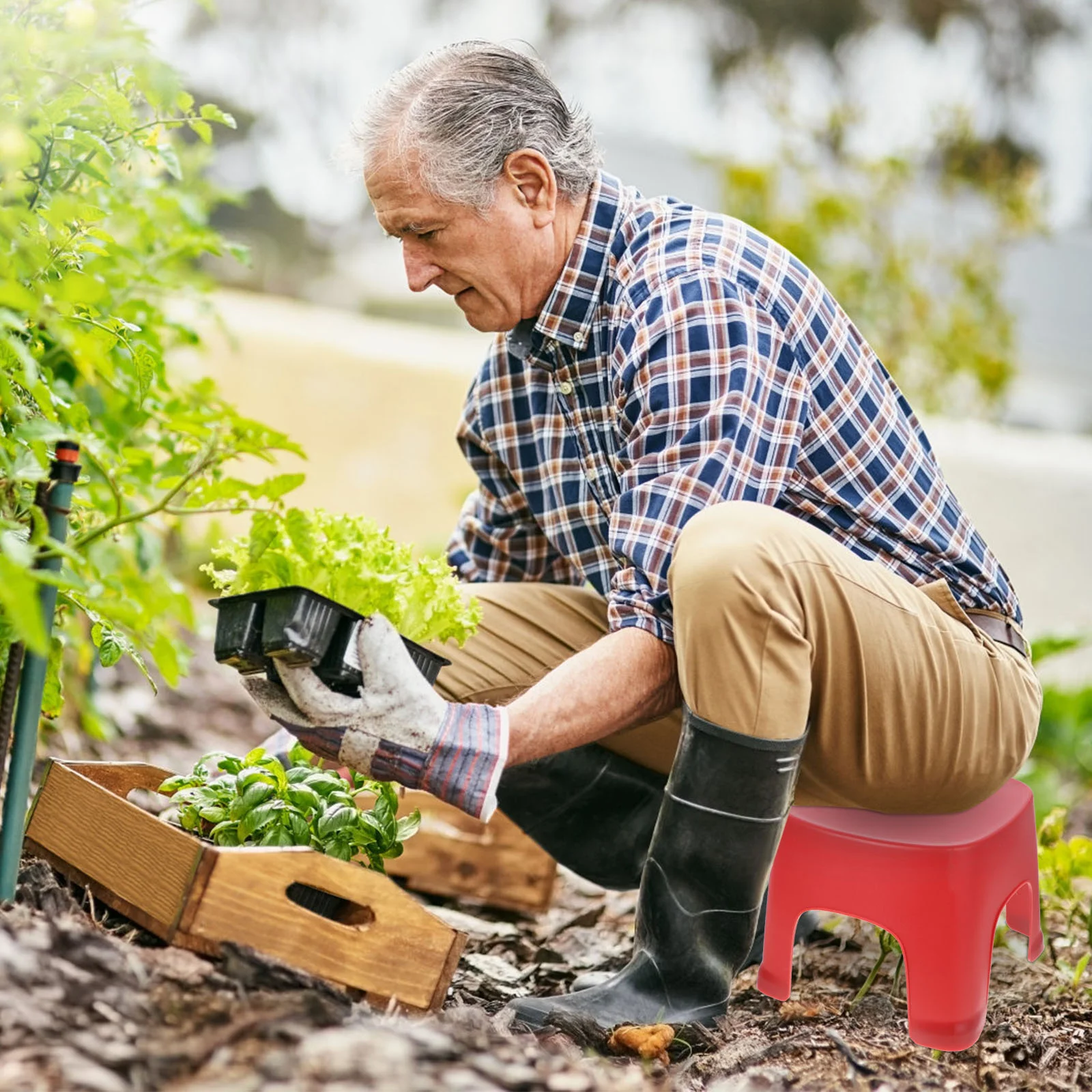 Рисунок 4 - Прочный ступенчатый стул для ванной и туалета