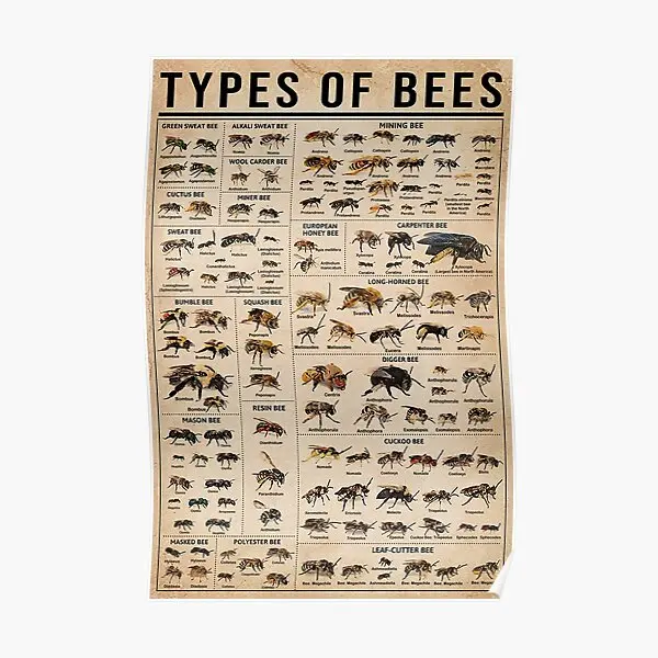 

Плакат с пчелами, Современный домашний декор, комнатная живопись, искусство, смешная настенная винтажная роспись, Декор, принт, картина без рамки