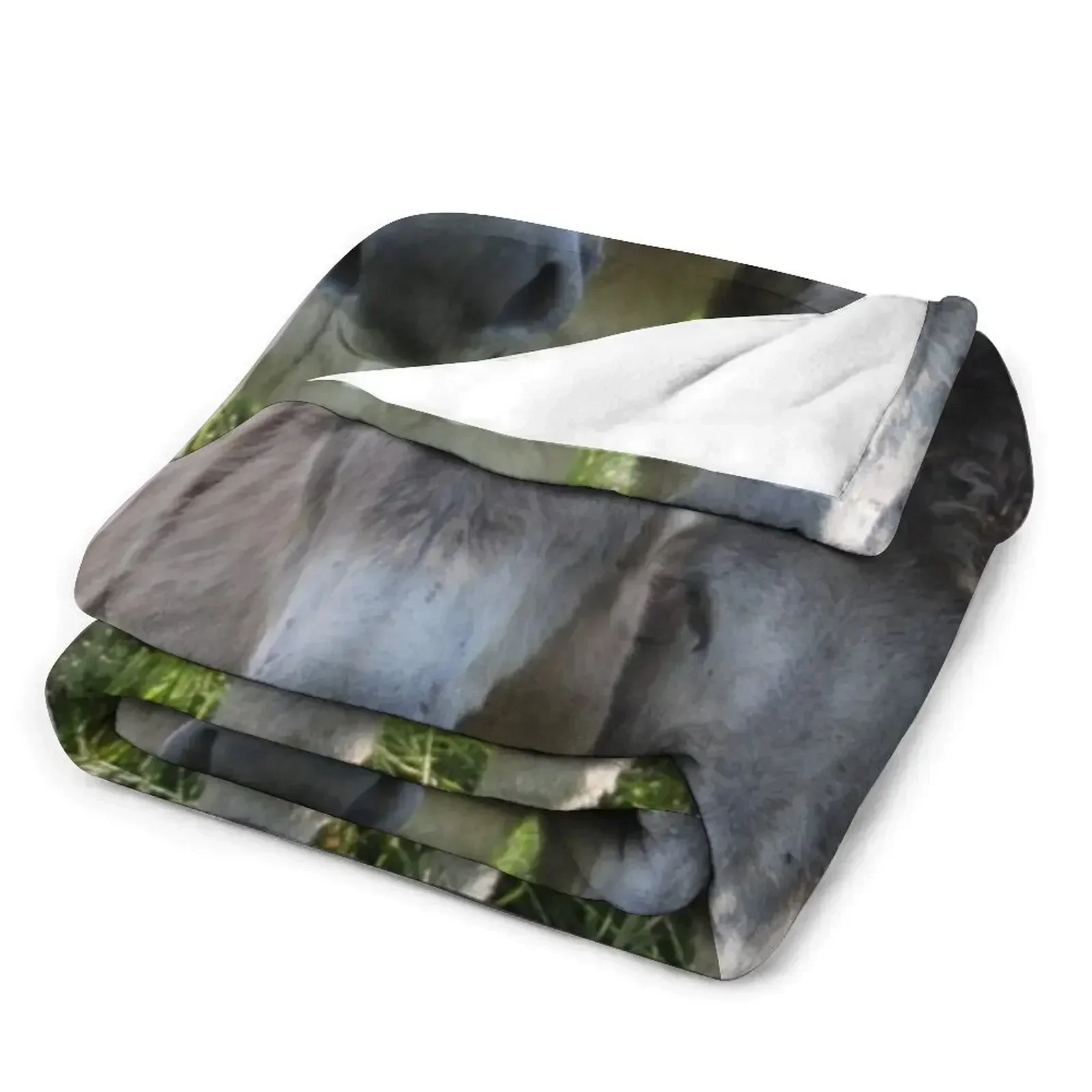 Очаровательные серые ослики в лугу с высокой травой пледы пляжное декоративное