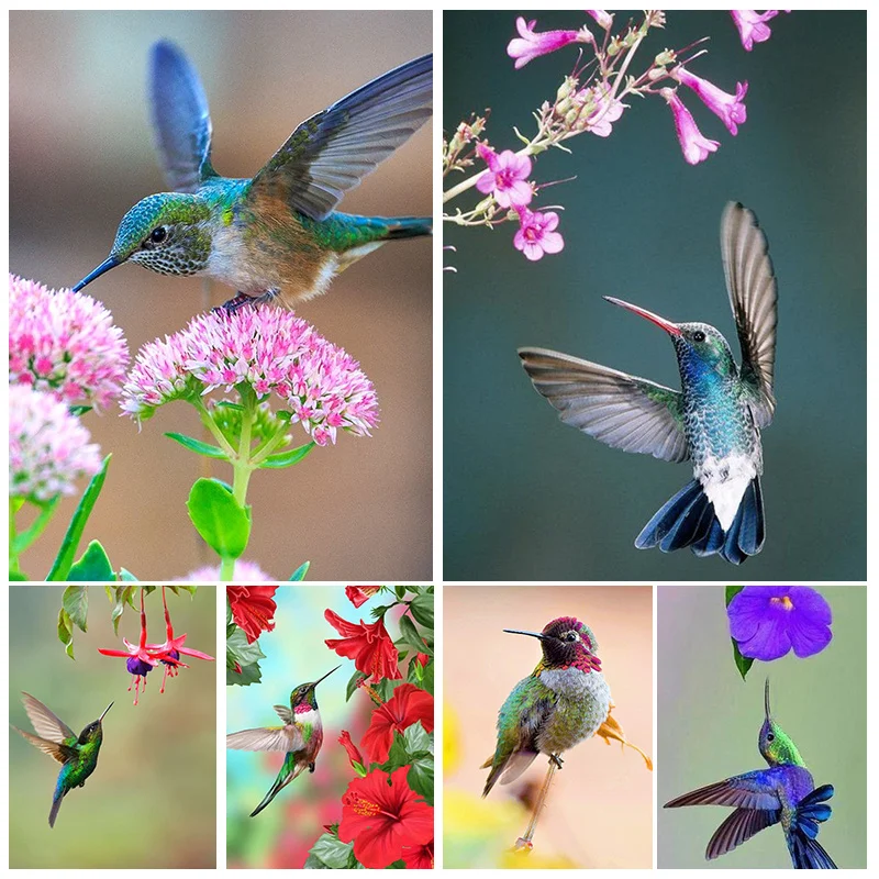 

Набор для алмазной живописи Hummingbird 5D, полноразмерная квадратная/круглая Алмазная мозаика, картины с птицами, вышивка «сделай сам», домашний ...