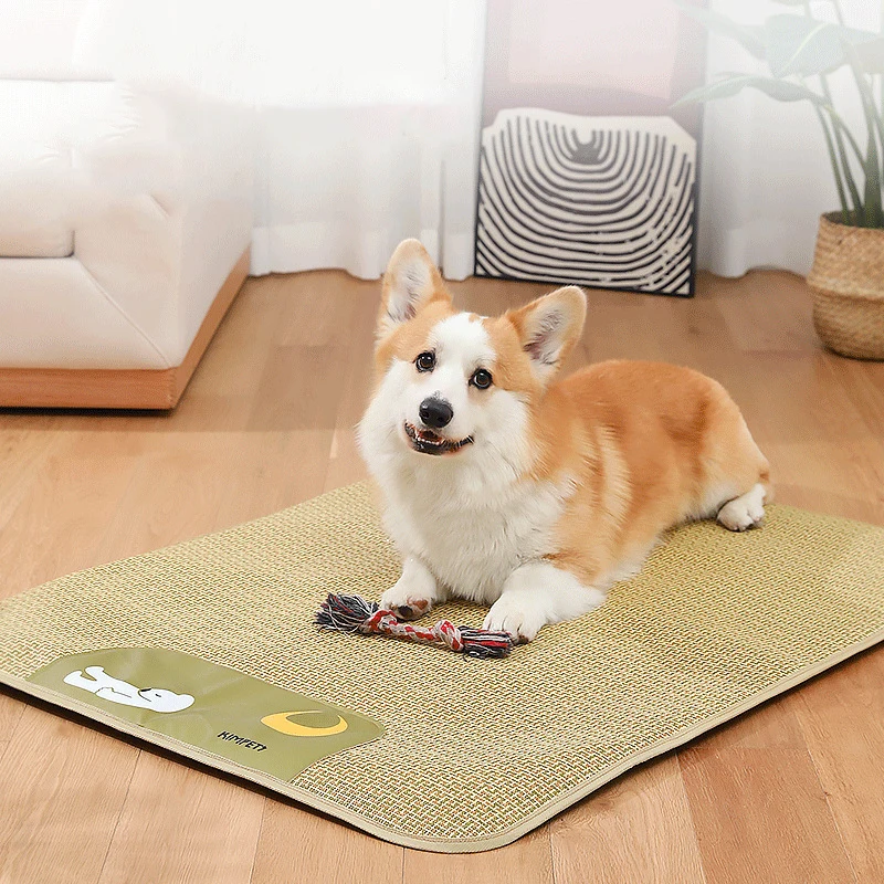

Portable Dog Cool Mat Anti-bite Cats Sleep Mat Summer Pet Bed for Kennel Sofa Floor Car Seats Supplies