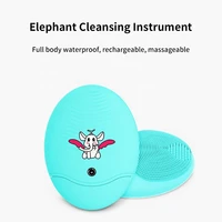 electric facial cleansing brush waterproof silicone facial cleaning brush massager for pore cleaner