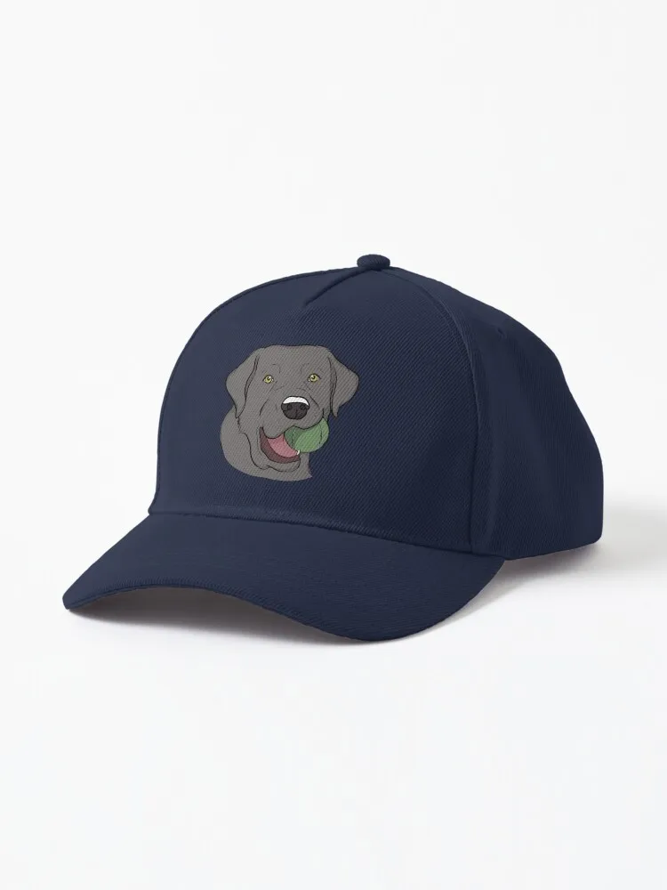 

Silver Labrador with Cap