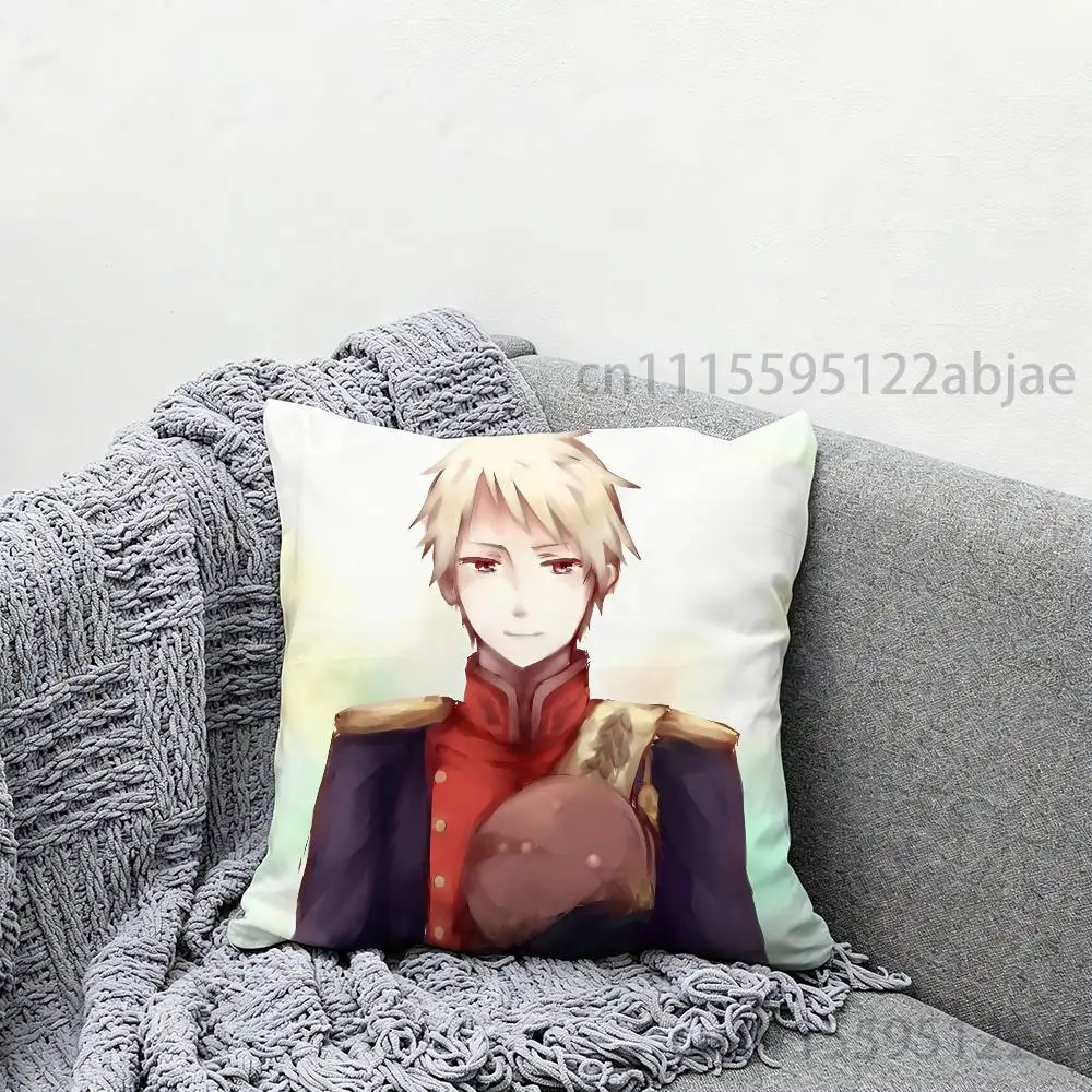 Фото Наволочка P-Prussia hetalia 50x50 см, квадратная наволочка для подушки своими руками, квадратный чехол для офисной подушки. №3
