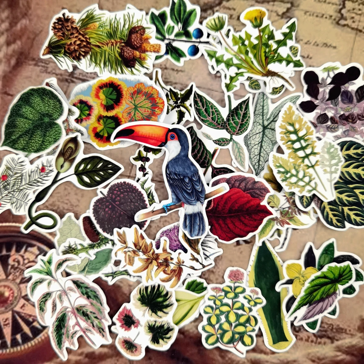 

Vintage Tropical Plant Leaves Stickers DIY Scrapbooking Journal Collage Phone Diary Album Happy Plan Gift Decoration