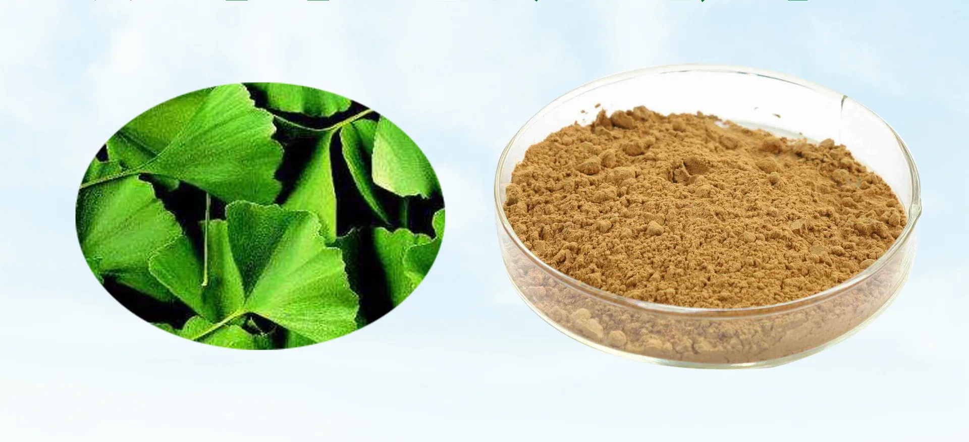 

Ginkgo Biloba 3000mg And Korean Ginseng 1000mg High Quality 120pcs capsule for health
