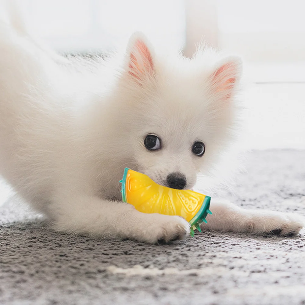 Fruit Shape Pet Dog Toy Puppy Chewing Grinding Teeth Squeaky Pineapple/Watermelon/Lemon Durable Toy For Interactive Trainning